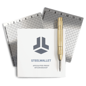 Slaptažodžių plokštelė "Steelwallet"